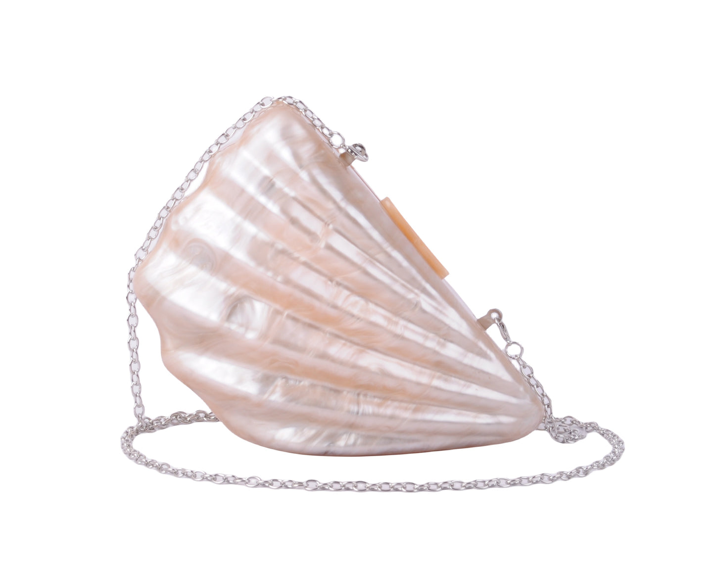 1574 - Seashell Champagne Acrylic Evening Clutch - A Toast to Timeless Elegance - Wholesale Handbag - Most Wanted USA