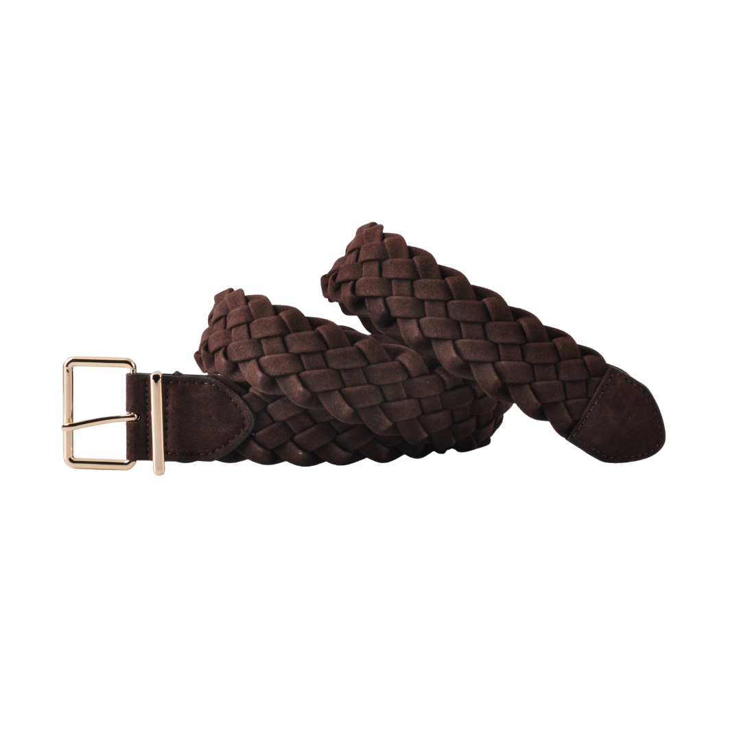 Gold Buckle Wide Braided Belt
