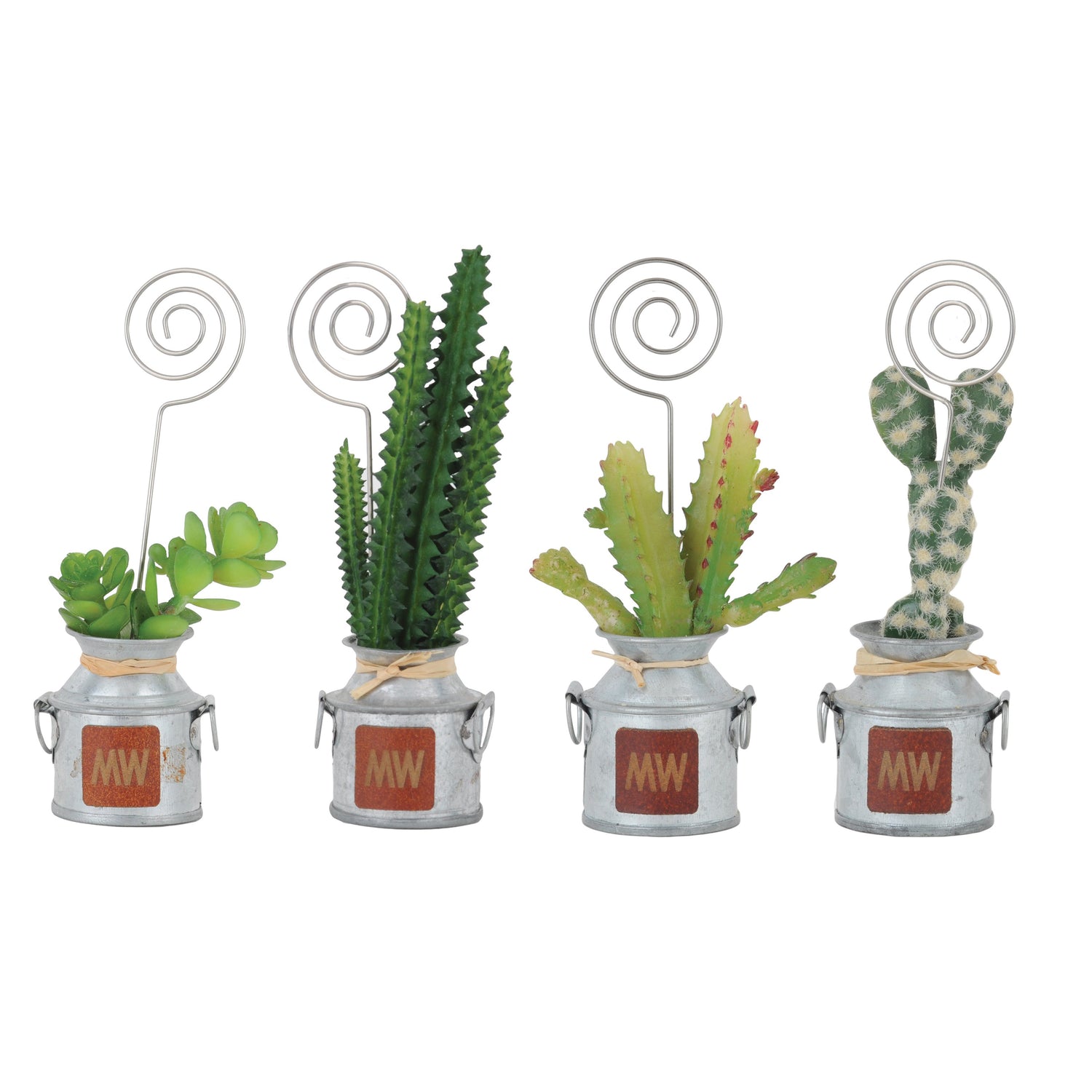 6006-MULTI 6006 - Cactus Polaroid Holders - Wholesale Home Decor and Gift - Most Wanted USA